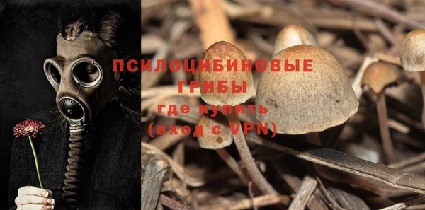 мет Балахна
