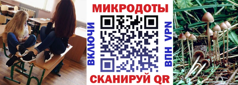 наркотики  блэк спрут ONION  Галлюциногенные грибы MAGIC MUSHROOMS  Заозёрный 